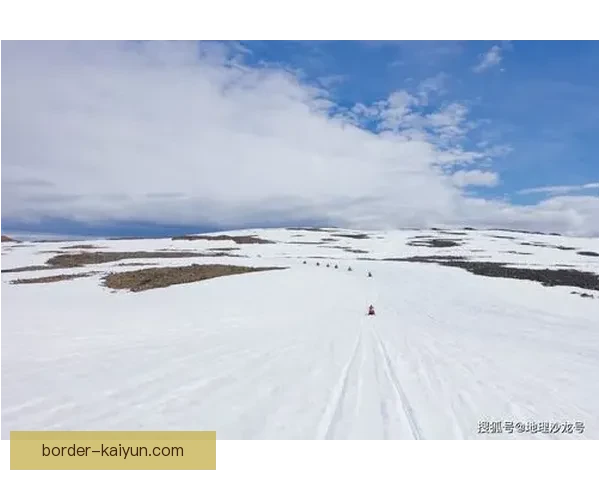 冰岛人口增长的秘密：如何在寒冷气候中实现生育率奇迹